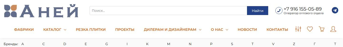 Прежняя шапка aney.ru