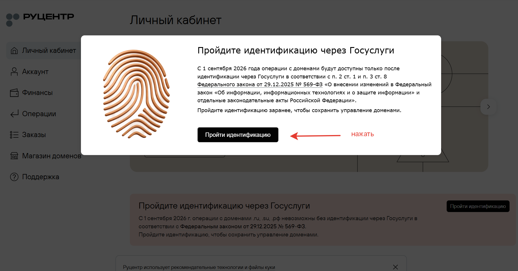 Как пройти идентификацию домена через Госуслуги в Руцентре (NIC.RU)