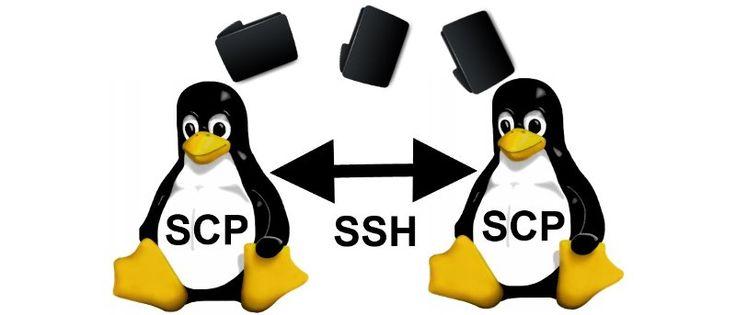 Kopieren Sie Dateien im Hintergrund schnell von Server zu Server. Rsync und scp.