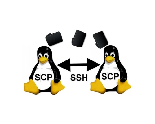 Быстрое копирование файлов с сервера на сервер в фоновом режиме. Rsync и scp.